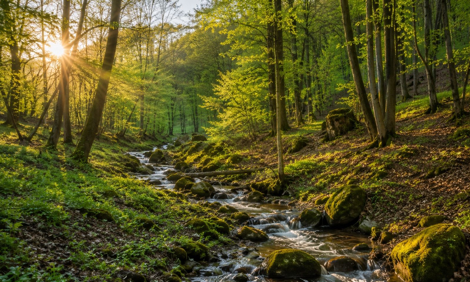 A Nordale környéke — Zemplén